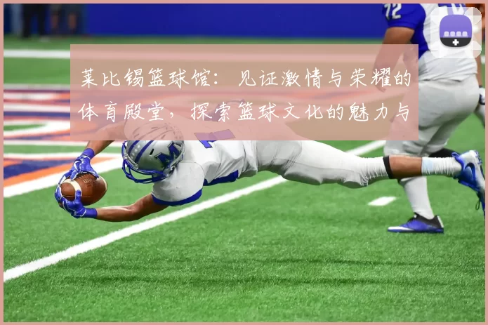 莱比锡篮球馆：见证激情与荣耀的体育殿堂，探索篮球文化的魅力与未来