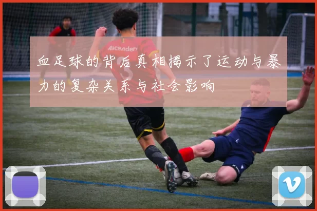 血足球的背后真相揭示了运动与暴力的复杂关系与社会影响